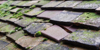 Smalldean roof repair costs